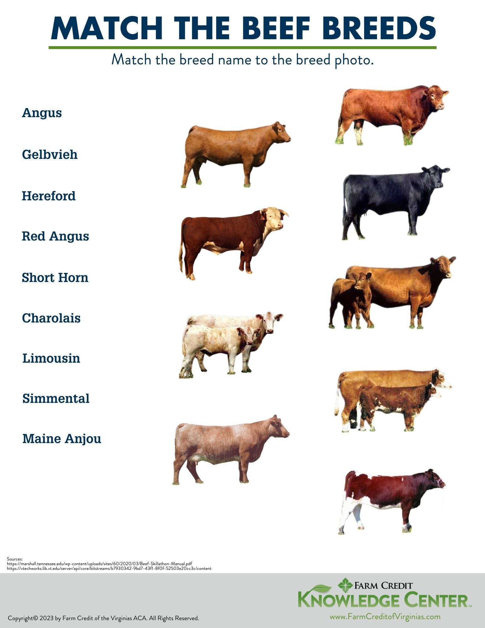 beef breeds worksheet