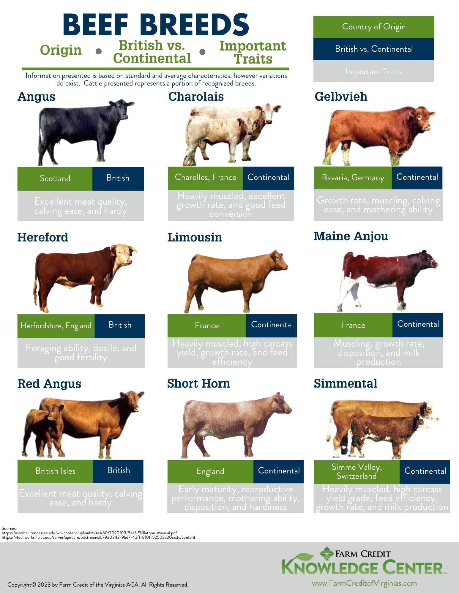 Beef Breeds infographic