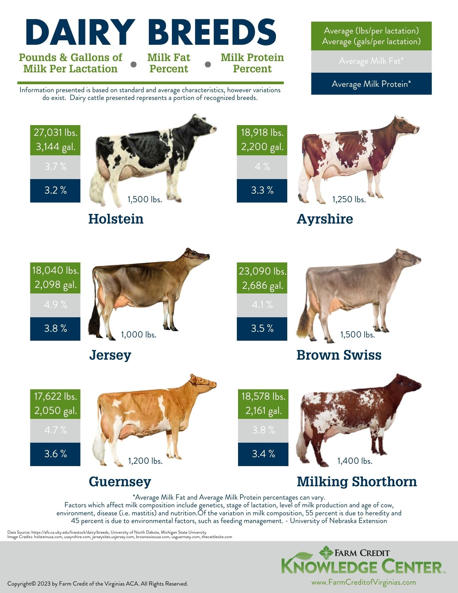 dairy breeds infographic