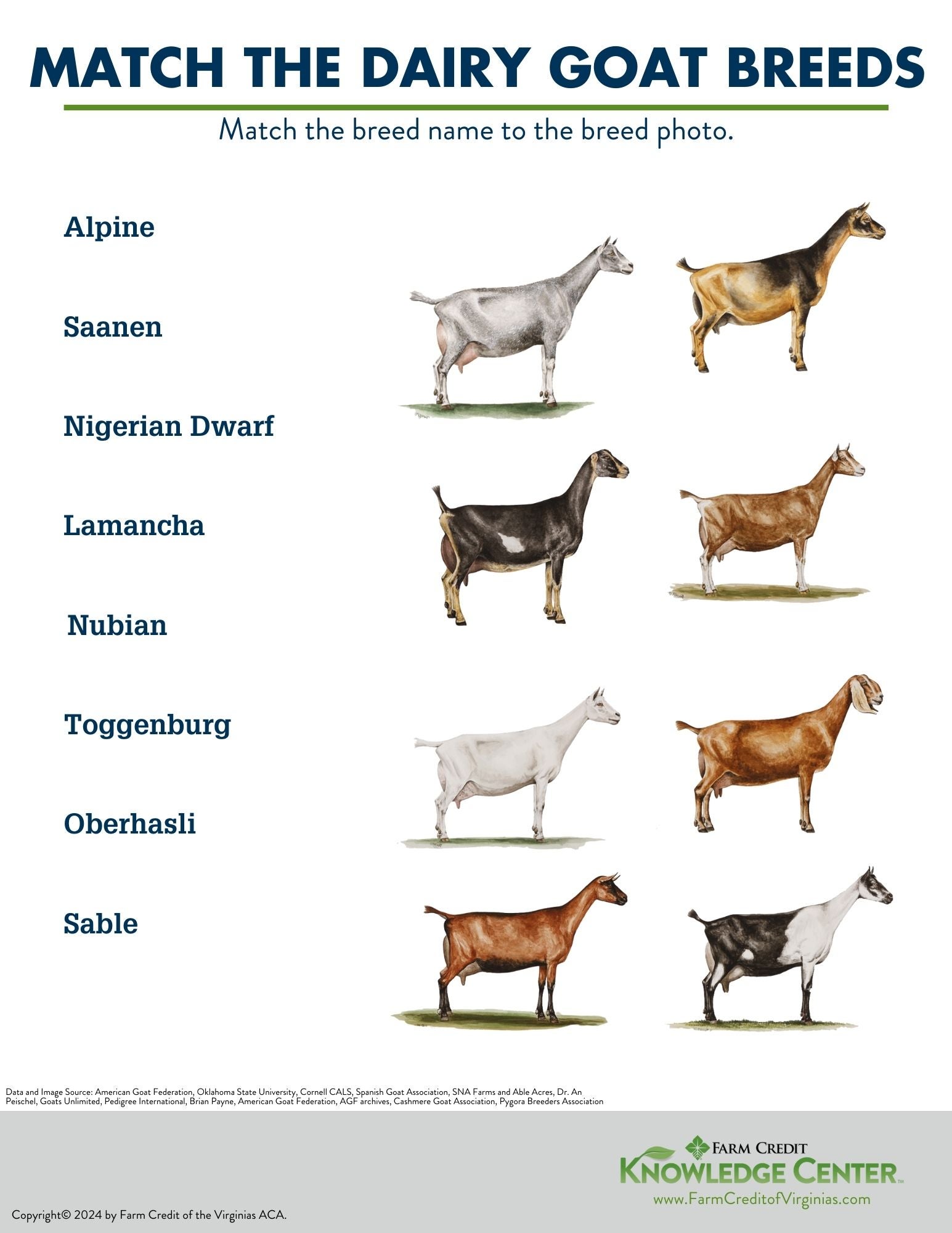 dairy goat breed worksheet