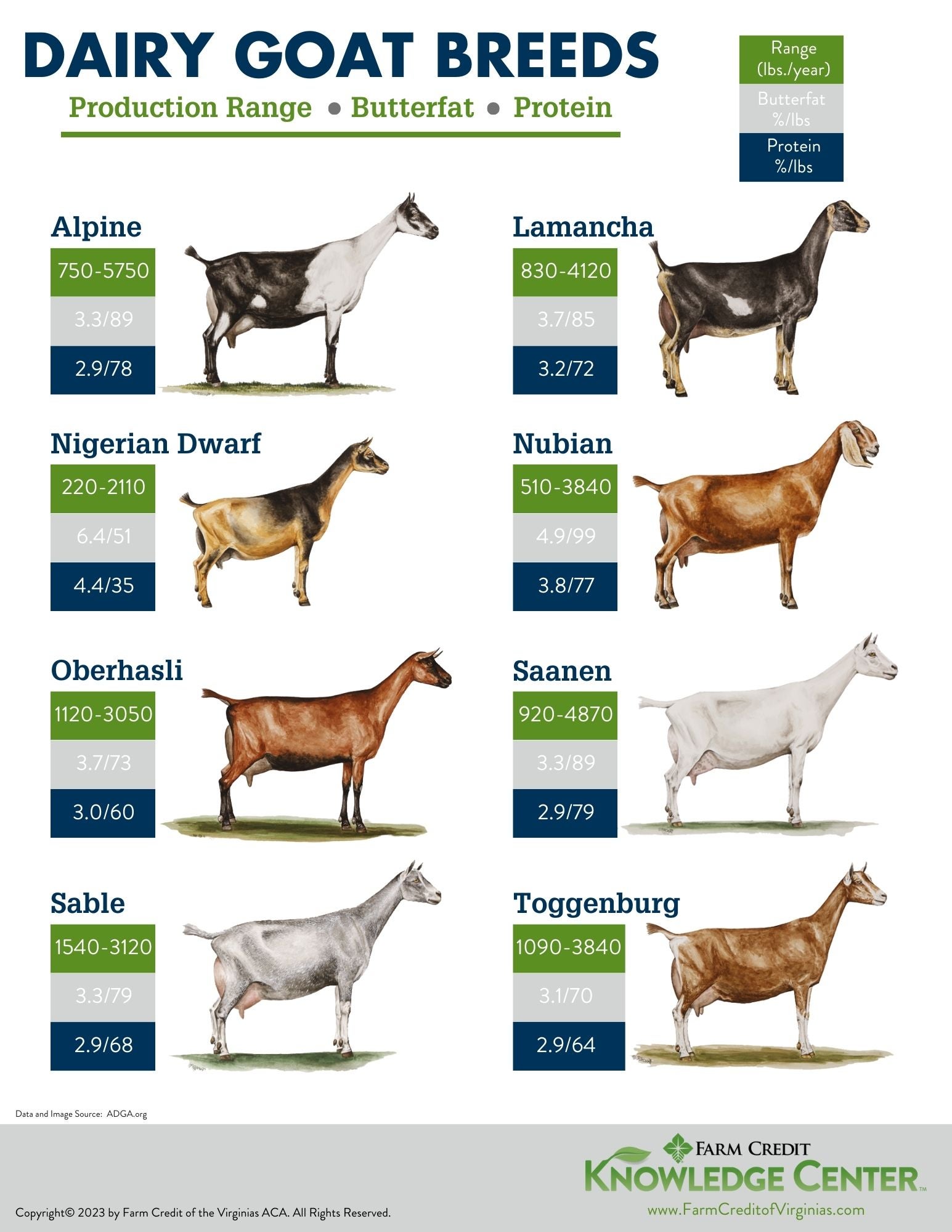dairy goat breeds