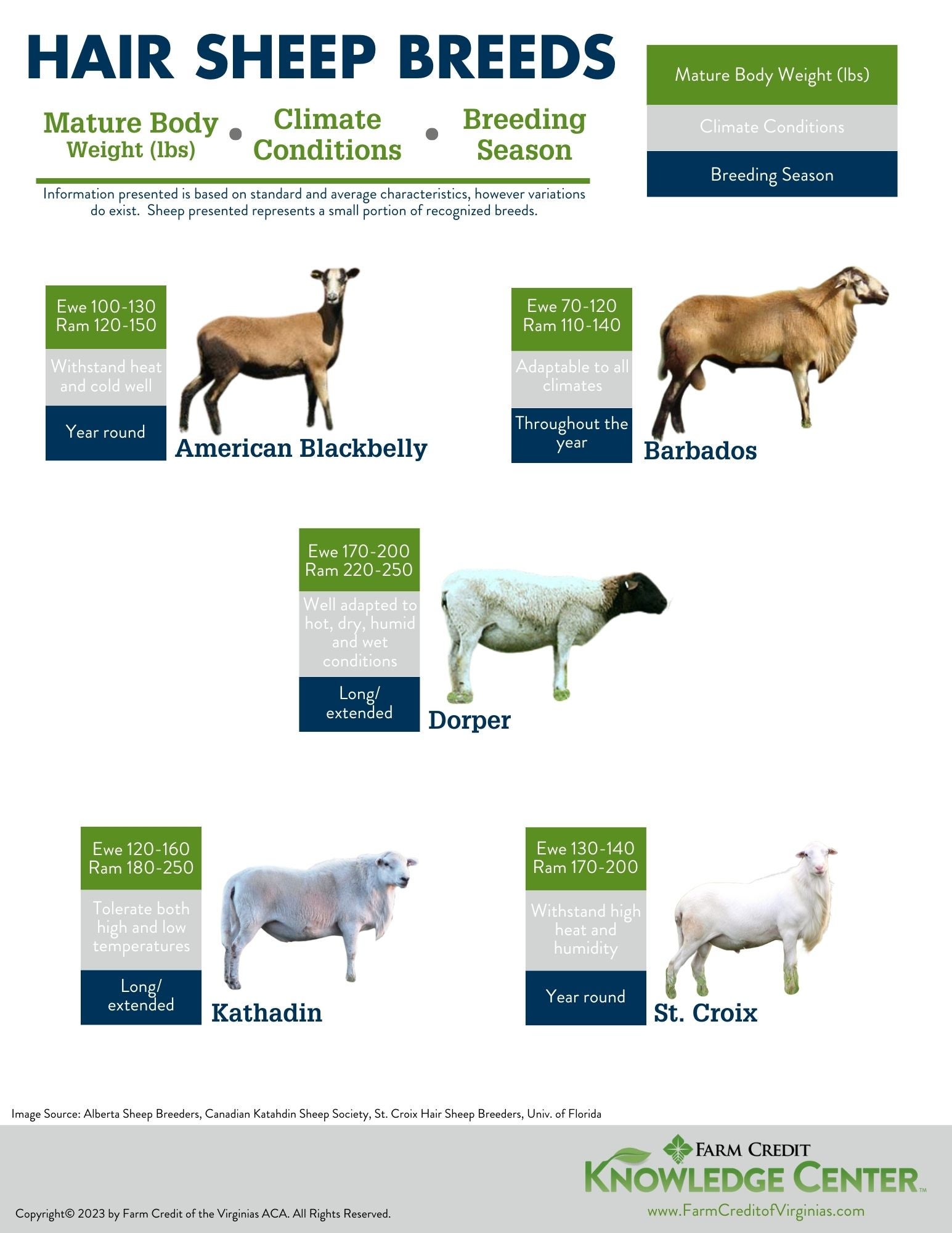 hair sheep breeds infographic