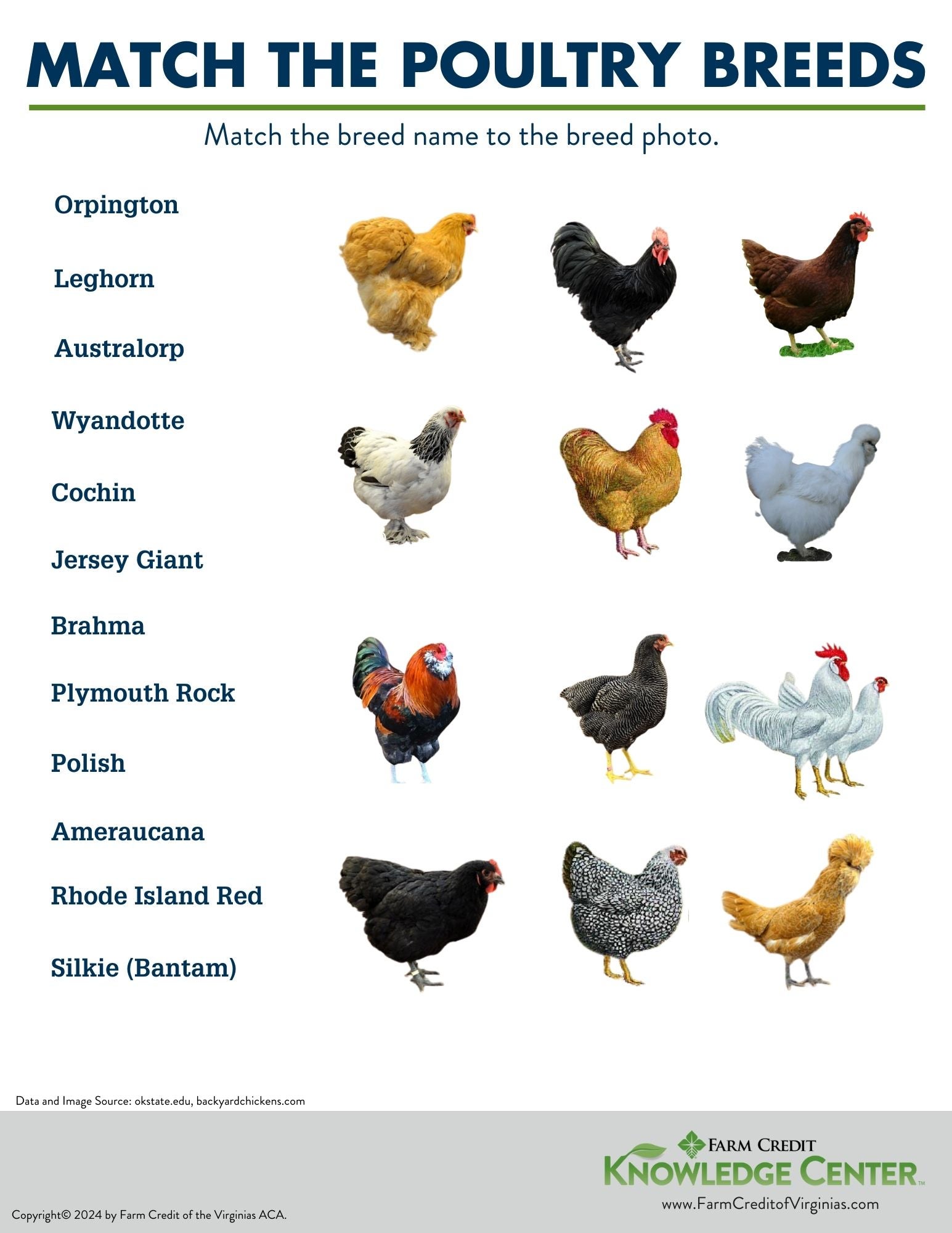poultry breeds worksheet