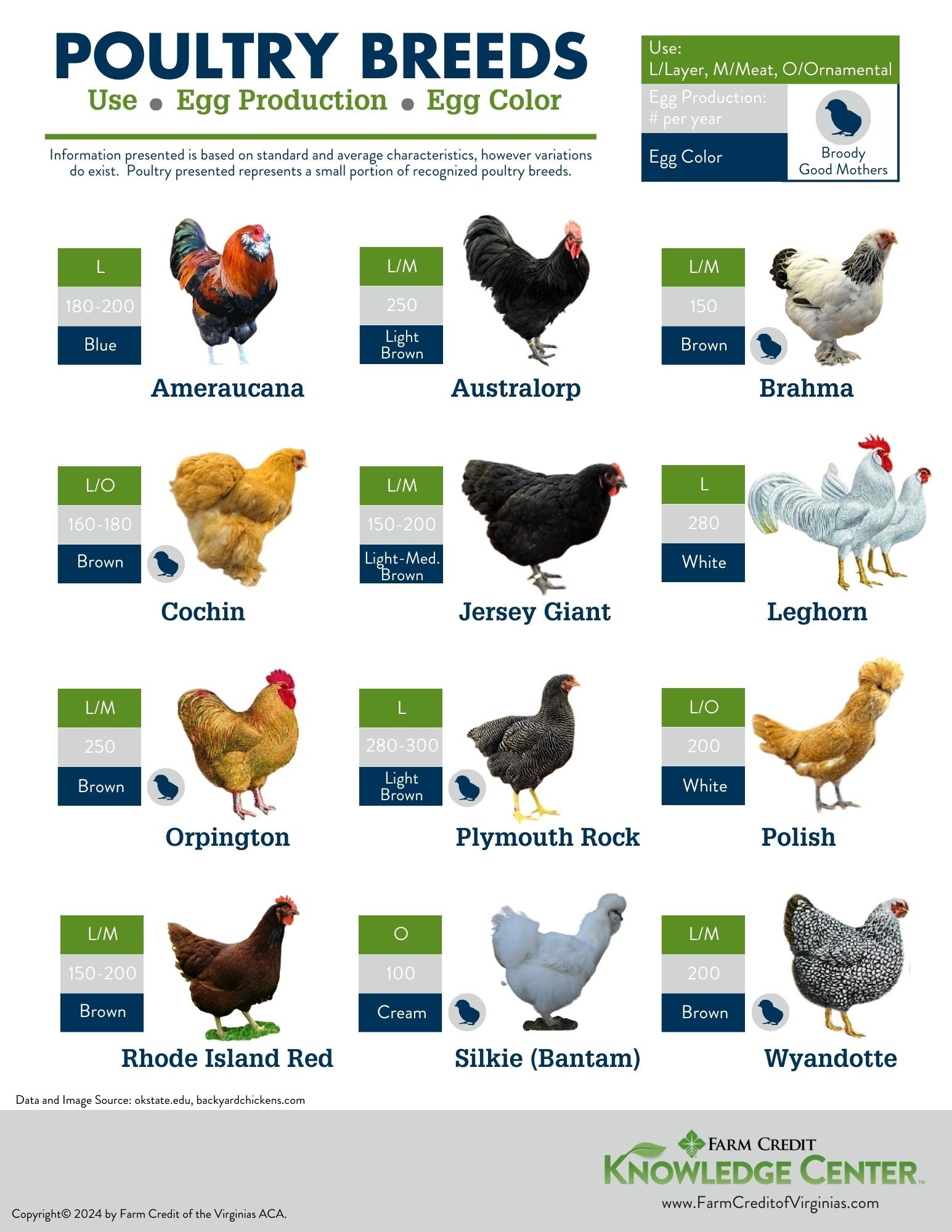 poultry breeds infographic