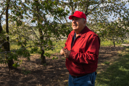 Shanholtz Orchard